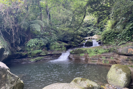 坪頂古圳人文生態景觀