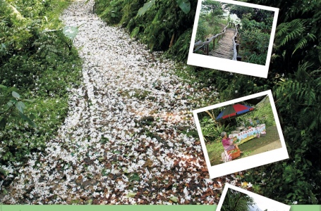 107.09.20走讀自然步道共學講堂~我的城市郊野步道見聞