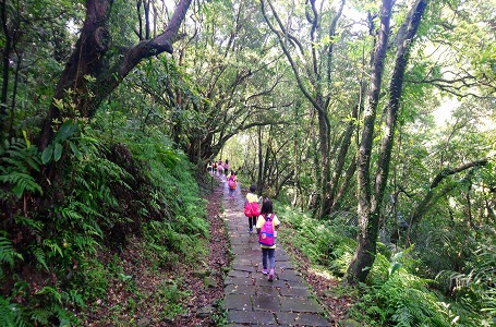 像山一樣思考，聽步道在說話