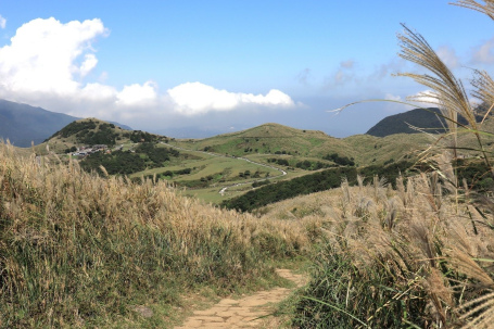 擎天崗秘境賞芒趣