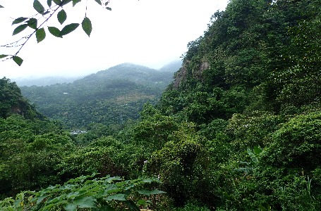 生態智慧與自然步道--談深層生態學