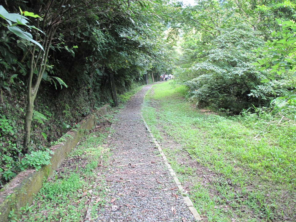 破壞地的先驅者