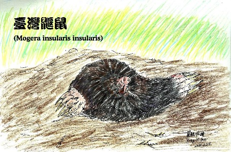 泥巴圈中的大世界與小世界