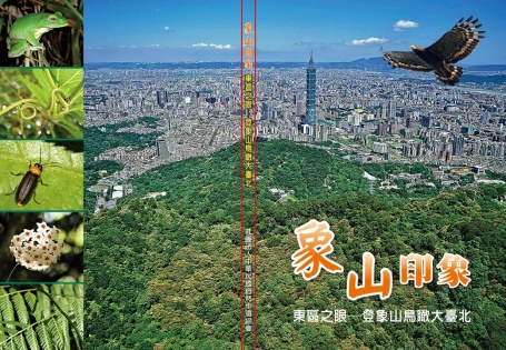 《象山印象 東區之眼—登象山鳥瞰大臺北》