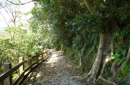 天母水管路步道