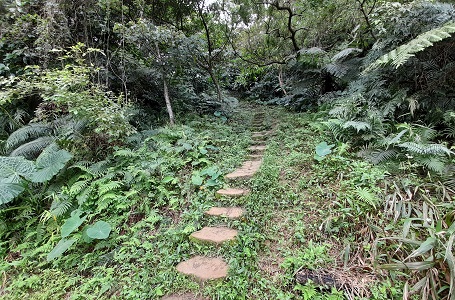 臺北大縱走 第六段之紫雲街至富陽自然生態公園