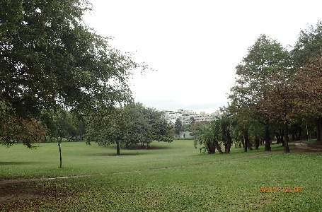 林口臺地組路線及交通指引