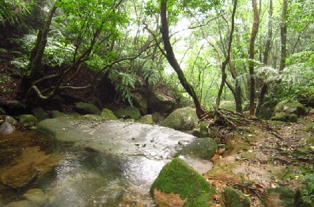 臺北大縱走 風櫃嘴、梅花山、碧山