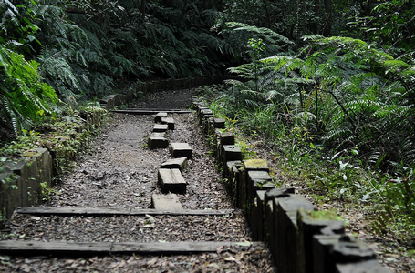 大崙頭尾山步道